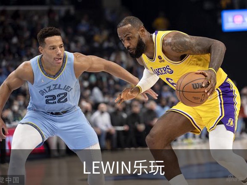 LEWIN乐玩概况
